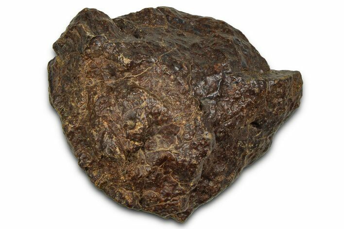 Chondrite Meteorite ( g) - Western Sahara Desert #371287